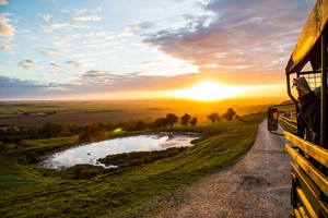 Digital Animal Adoption with Entry to Port Lympne Reserve and Safari for a Family of Four Image 1