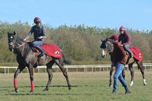 Behind the Scenes Tour of Top-Class Horse Racing Yard with Darryll Holland for Two Image 2