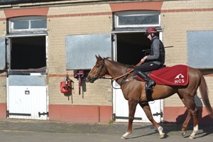 Behind the Scenes Tour of Top-Class Horse Racing Yard with Darryll Holland for Two Image 3