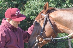 Behind the Scenes Tour of Top-Class Horse Racing Yard with Darryll Holland for Two Image 4