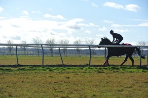 Behind the Scenes Tour of Top-Class Horse Racing Yard with Darryll Holland for Two Image 5