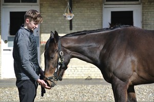 Behind the Scenes Tour of Top-Class Horse Racing Yard with Darryll Holland for Two Image 1