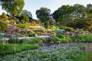 Visit To Rhs Garden Wisley For Two