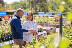 RHS Joint Membership with Unlimited Access to Five RHS Gardens picture