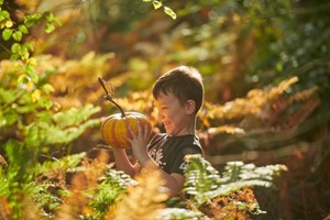 RHS Individual Membership (plus 1 guest or 2 children) picture