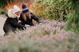 RHS Individual Membership with Unlimited Access to Five Gardens picture