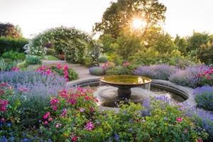 Rhs Joint Membership With Unlimited Access To Five Rhs Gardens