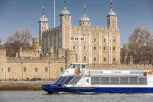 Up at The O2 and Thames Cruise Rover Pass for Two Image 3