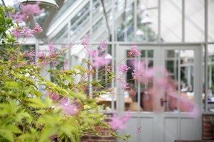 The Raymond Blanc Gardening School for One with Lunch Image 5