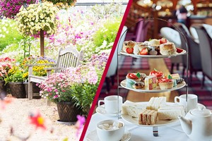 Visit to RHS Garden Hyde Hall and Afternoon Tea for Two at Greenwoods Hotel and Spa picture