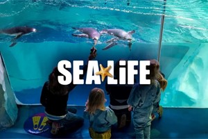 SEA LIFE Entry Tickets for Two picture