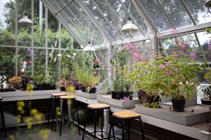 The Edible Garden Half Day Class at Belmond le Manoir for One  Image 2