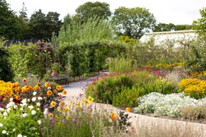 RHS Garden Harlow Carr Entry for Two Adults Image 4