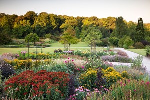 RHS Garden Harlow Carr Entry for Two Adults Image 2