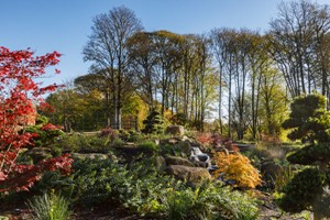 RHS Garden Bridgewater Entry for Two Adults Image 4