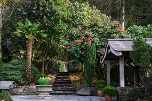 RHS Garden Rosemoor Entry for Two Adults Image 4