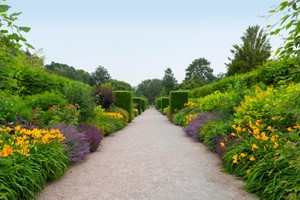 RHS Garden Rosemoor Entry for Two Adults Image 2