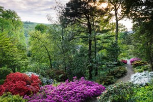 RHS Garden Rosemoor Entry for Two Adults Image 5