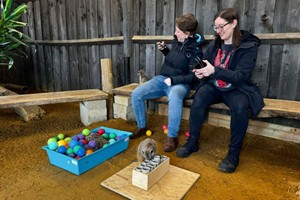 Private Meerkat Encounter for Two People at Millets Wildside Image 3