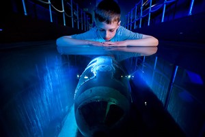 VIP Mary Rose Ship Hall Experience with Lunch at The Boathouse 4 for Two Image 3