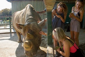 Keeper for the Day at Port Lympne Reserve for Two Image 1