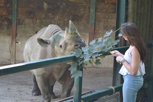 Click to view details and reviews for Junior Keeper For The Day Port Lympne Reserve For One Adult And One Child.