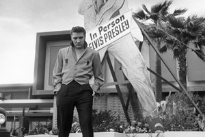 Tickets for Two to Elvis Evolution with After Party Access - Image 6