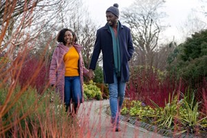 RHS Garden Rosemoor Entry for Two Adults picture