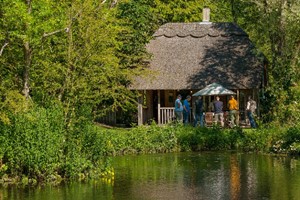 Half Day Private Fly Fishing Tuition for One picture