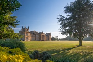 Entry to Blenheim Palace with Pizza for One Adult and One Child picture