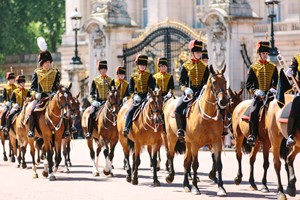 Highlights of Royal London Bike Tour for Two Adults with Unlimited Biking picture