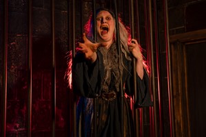 Entry Tickets to the London Dungeon For Two Adults and One Child picture