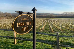 Group Vineyard Tour and Wine Tasting for Six at Oastbrook Estate picture