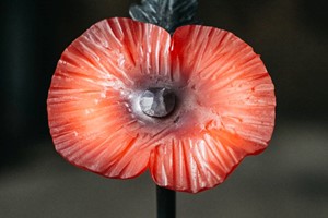 Poppy Making Experience for One at Oldfield Forge picture