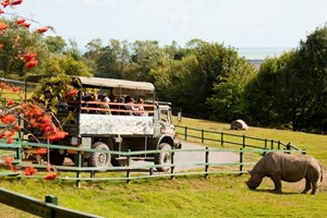 Port Lympne Reserve Entry with Safari Ride and Two Course Sunday Roast for Two picture