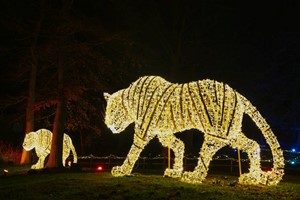 Twilight Tea and Festive Light Trail for Two with Port Lympne picture