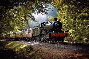 Adult Rover Train Ticket From Ecclesbourne Valley Railway Special Offer