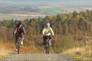 Mountain Biking for Two at Gorsebank picture