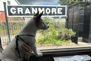 Steam Railway Day Rover Tickets for Two on the East Somerset Railway Image 3