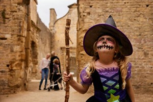 English Heritage Annual Pass for Two – Up to 12 Kids Go Free picture