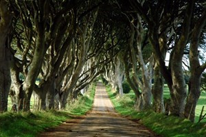 Game of Thrones and Giant Causeway Guided Tour of Northern Ireland for Two Image 2