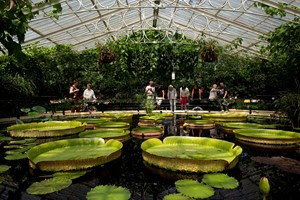 Click to view details and reviews for Family Visit To Kew Gardens And Palace For Two Adults And Two Children.