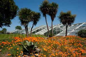 Family Visit to Kew Gardens and Palace for Two Adults and Two Children Image 4