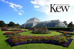 Visit to Kew Gardens and Palace for Two picture