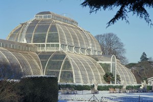 Visit to Kew Gardens and Palace for Two  Image 3