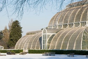 Visit to Kew Gardens and Palace for One Image 4