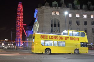 See London By Night Tour for Two Image 3