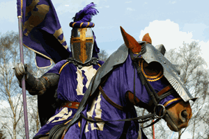 Jousting Experience In Warwick For One