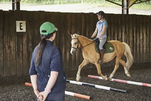 One Hour Horse Riding Experience for One - UK Wide Image 5