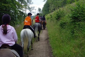 One Hour Horse Riding Experience for One - UK Wide Image 4